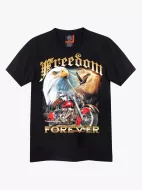 4174 (Original T-shirts,Rock Eagle)