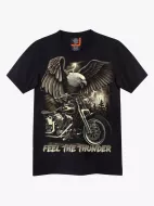 4285 (Original T-shirts,Rock Eagle)