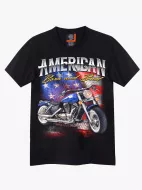 4541 (Original T-shirts,Rock Eagle)