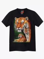 4271 (Original T-shirts,Rock Eagle)