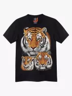 4389 (Original T-shirts,Rock Eagle)