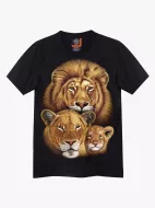 4391 (Original T-shirts,Rock Eagle)