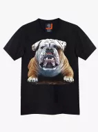 4441 (Original T-shirts,Rock Eagle)