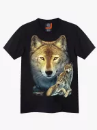 4448 (Original T-shirts,Rock Eagle)