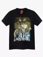 4478 (Original T-shirts,Rock Eagle)