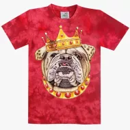 TD 298 (Animals, T-Shirts,Rock Eagle)