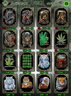 Rock Eagle GW 58 - 75  (T-shirts)