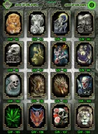 Rock Eagle GW 92 - 108  (T-shirts)