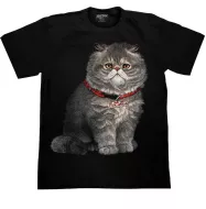 ROCK CHANG GR-632 t-shirt