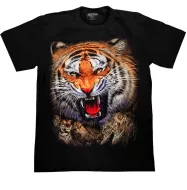 ROCK CHANG GR-663 t-shirt