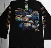 Rock Chang longsleeve LS GR №782 лонгслив,орёл,байкер