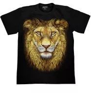 ROCK CHANG GR-691 t-shirt