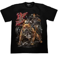 ROCK CHANG GR-704 t-shirt