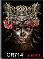 ROCK CHANG GR-714 t-shirt