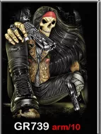 ROCK CHANG GR-739 t-shirt