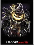 ROCK CHANG GR-743 t-shirt