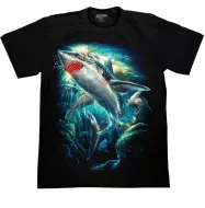 ROCK CHANG GR-746 t-shirt