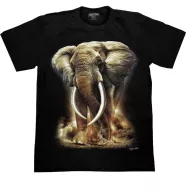 ROCK CHANG GR-770 t-shirt