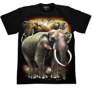 ROCK CHANG GR-787 t-shirt