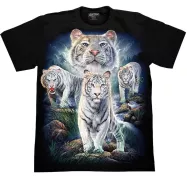 ROCK CHANG GR-807 t-shirt