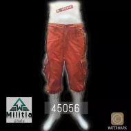 Шорты MOLECULE 45056