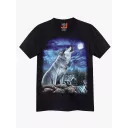 4221 (Original T-shirts,Rock Eagle)