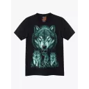 4381 (Original T-shirts,Rock Eagle)