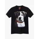 4432 (Original T-shirts,Rock Eagle)