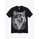 4464 (Original T-shirts,Rock Eagle)