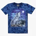 TD 138 (Animals, T-Shirts,Rock Eagle)