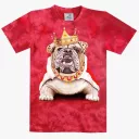 TD 301 (Animals, T-Shirts,Rock Eagle)