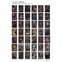 BT 138 - BT 178 BLACK TIMBER (BT, NTS) T- Shirts