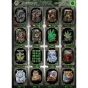 Rock Eagle GW 58 - 75  (T-shirts)