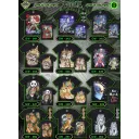 Rock Eagle GW 341 - 352  (T-shirts)