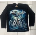 Rock Chang longsleeve LS HD №121 лонгслив,орёл,байкер