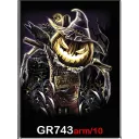 ROCK CHANG GR-743 t-shirt