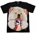 ROCK CHANG GR-785 t-shirt