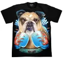 ROCK CHANG GR-800 t-shirt