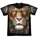 ROCK CHANG FULL HD-77 (T-Shirt)