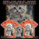 CTD-1C. 83 A - 0828  (ANIMAL,Котята, футбокла Caballo)