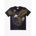 DISCHARGE (D) D156  (Rock Eagle, T-Shirts)
